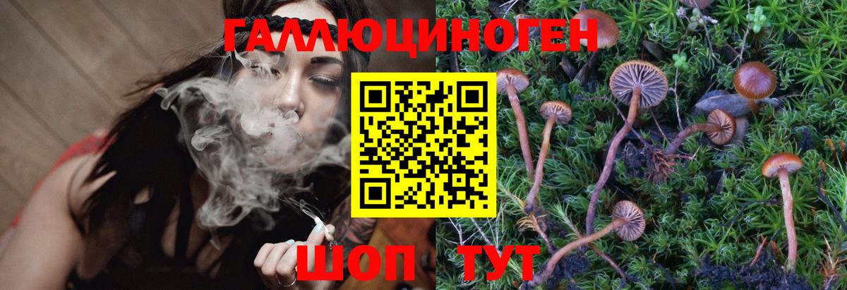Псилоцибиновые грибы Psilocybine cubensis  Вход с VPN  Пушкино  Псилоцибиновые грибы Cubensis 
