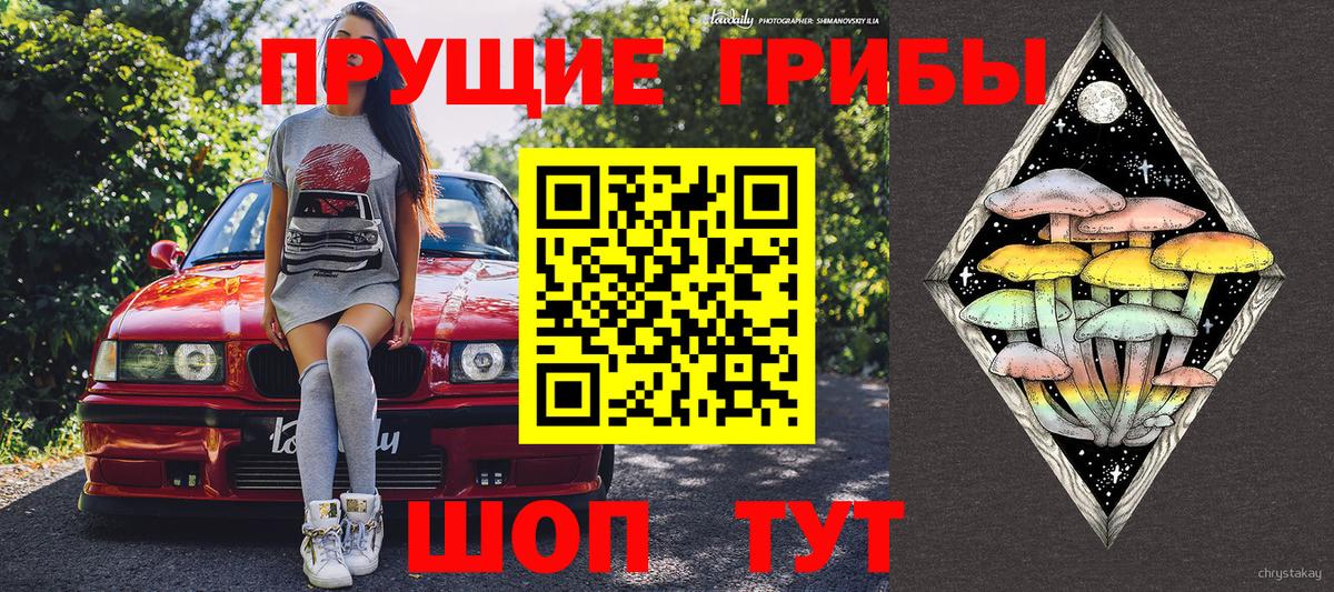 Псилоцибиновые грибы мицелий Пушкино